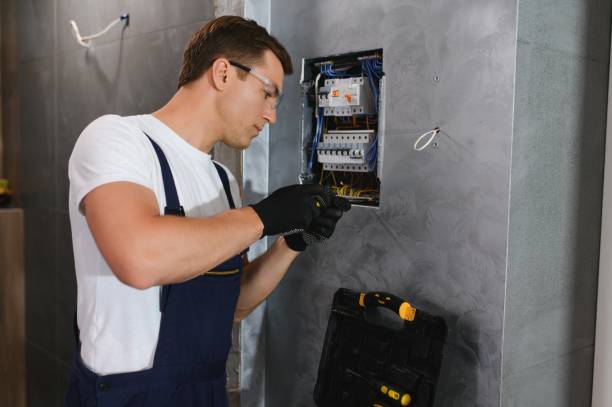 Best Electric Panel Repair  in Holt, AL