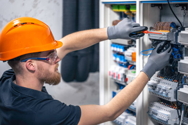 Best Electric Panel Repair  in Holt, AL